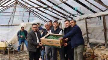 Selden Zarar Gören Üreticilere Fide Desteği