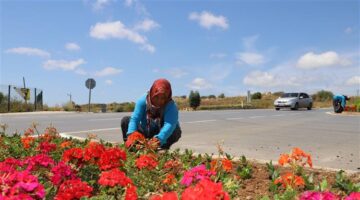 Alanya Çiçek Bahçesine Dönüşüyor
