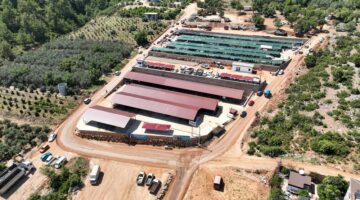 Kurban Satış Ve Kesim Yerleri