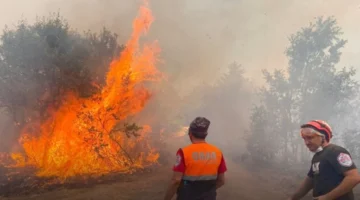 5 Orman İşçisi Ve 5 Sivil Toplum Gönüllüsü Şehit