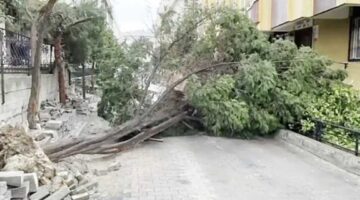 Çatılar Uçtu Ağaçlar Kökünden Söküldü