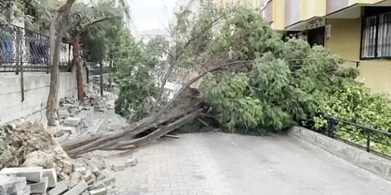 Çatılar Uçtu Ağaçlar Kökünden Söküldü